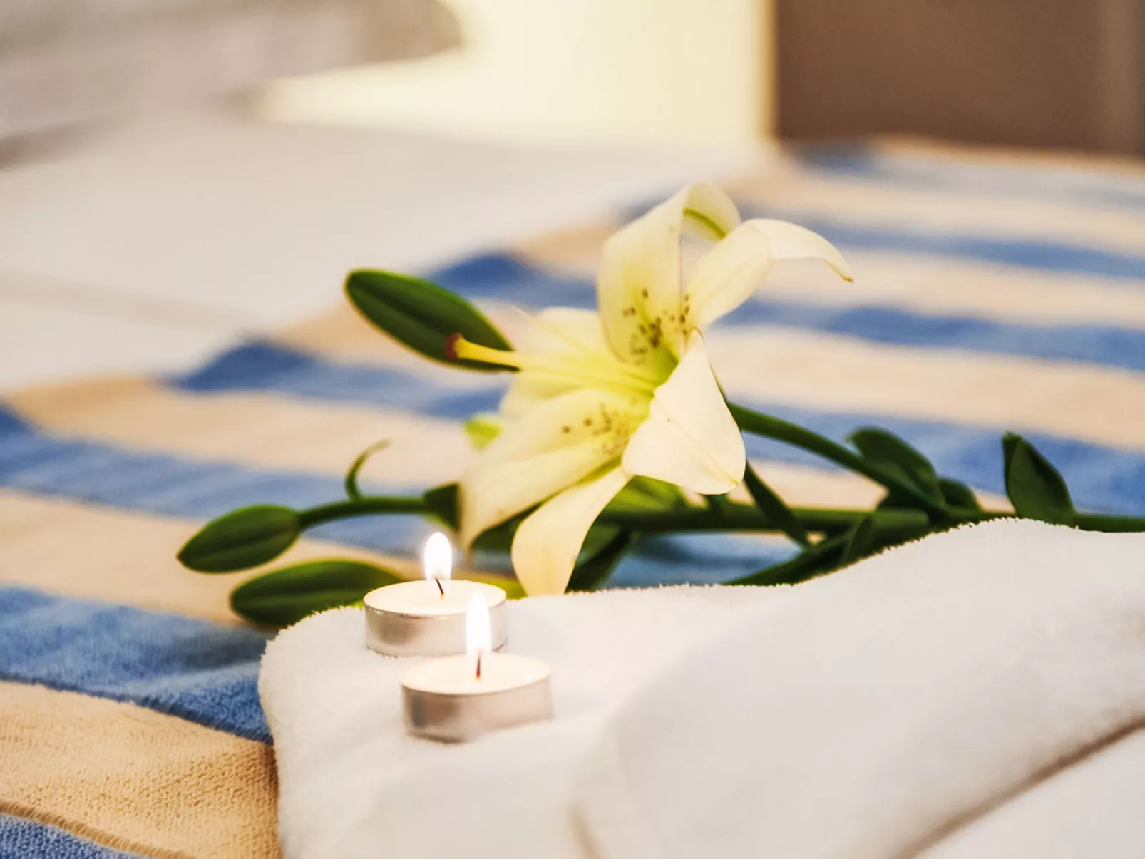 Villa Majestic - Drinnen