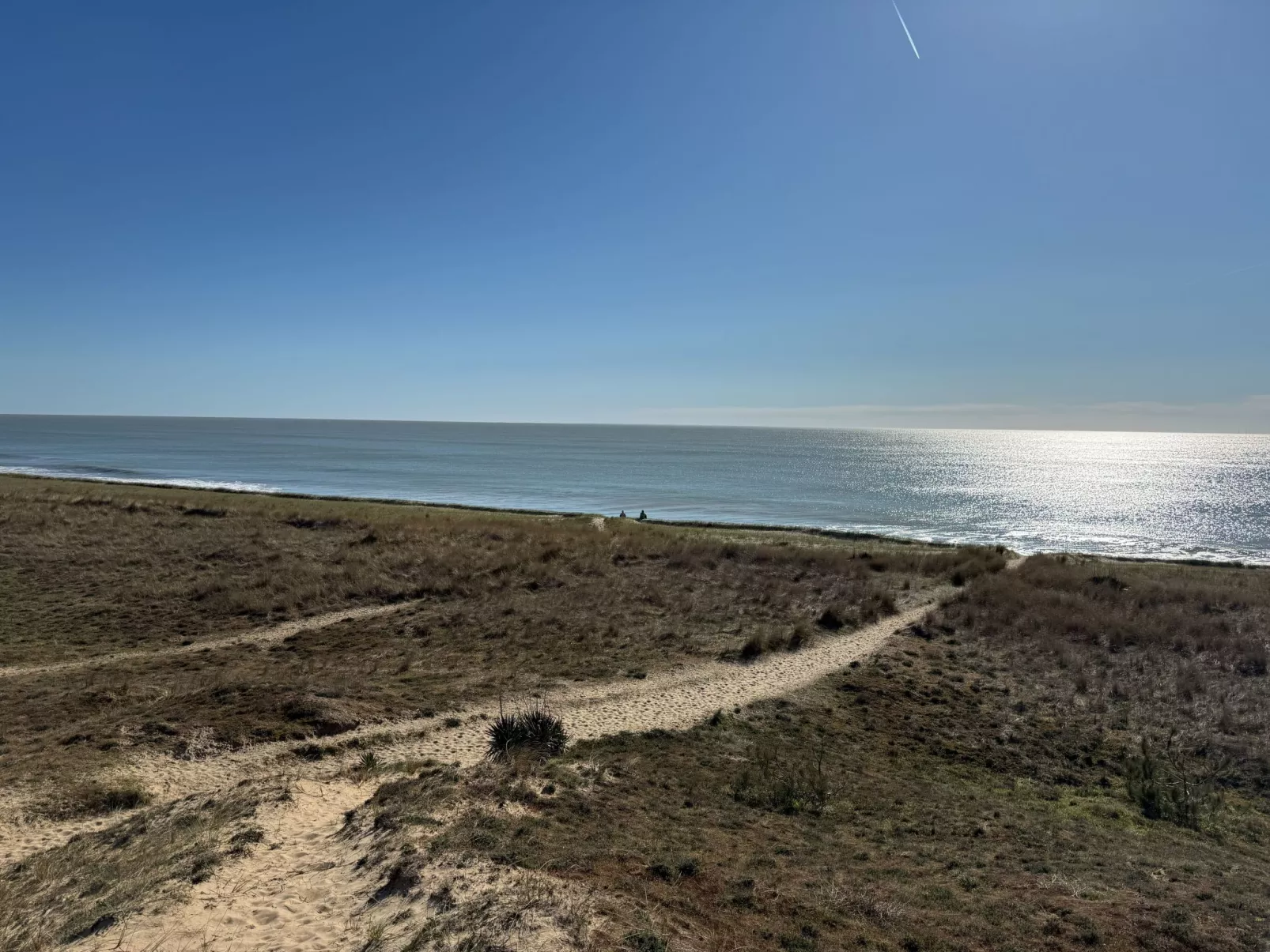 Maison de charme Les Yuccas - Dehors