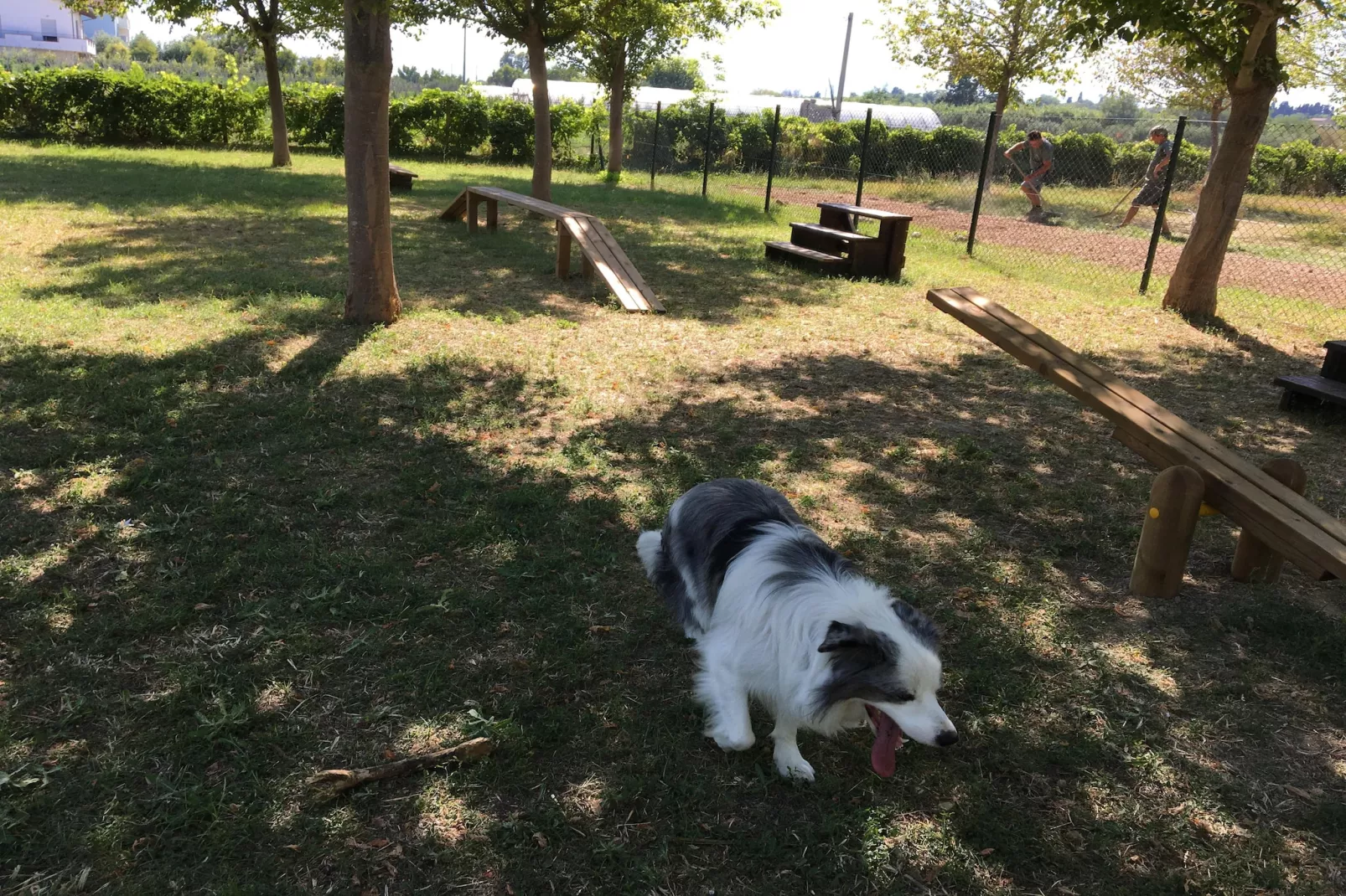 Stork Family Collection - BUNGALOW BILOCALE DOG max cap 5 pax - Parkeinrichtungen