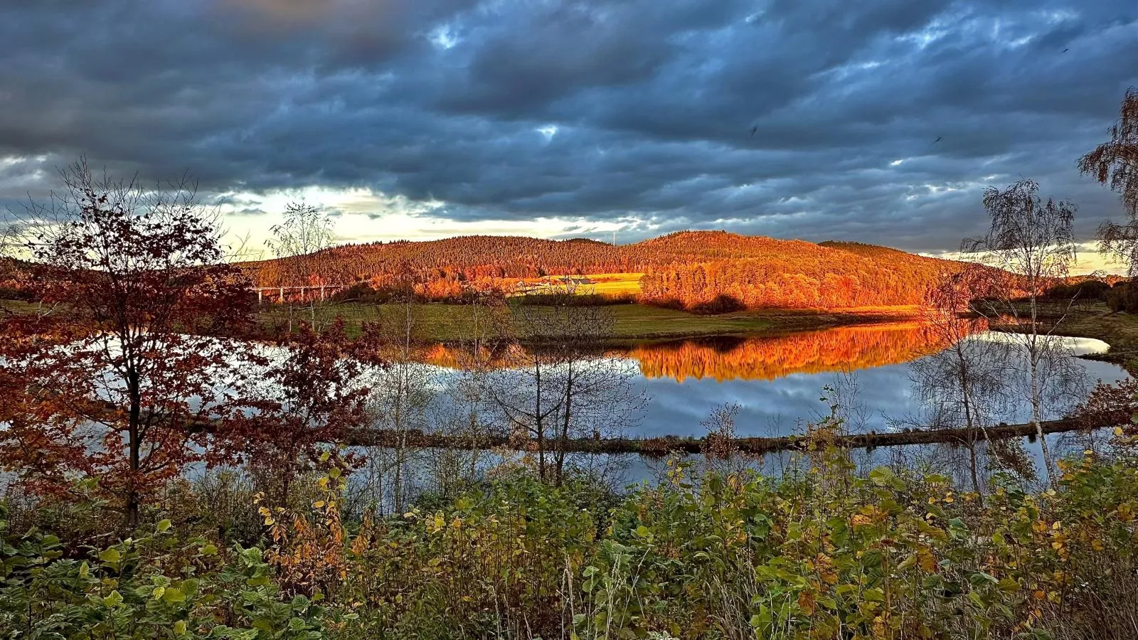 Feriendorf Seeblick - Tiny Nr 2 - Water view