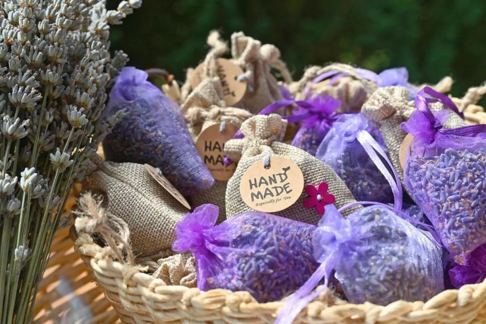 Lavanda Land - Villa Tanya Mrežnica - Three Bedroom Holiday Home with Hot Tub - Outdoor