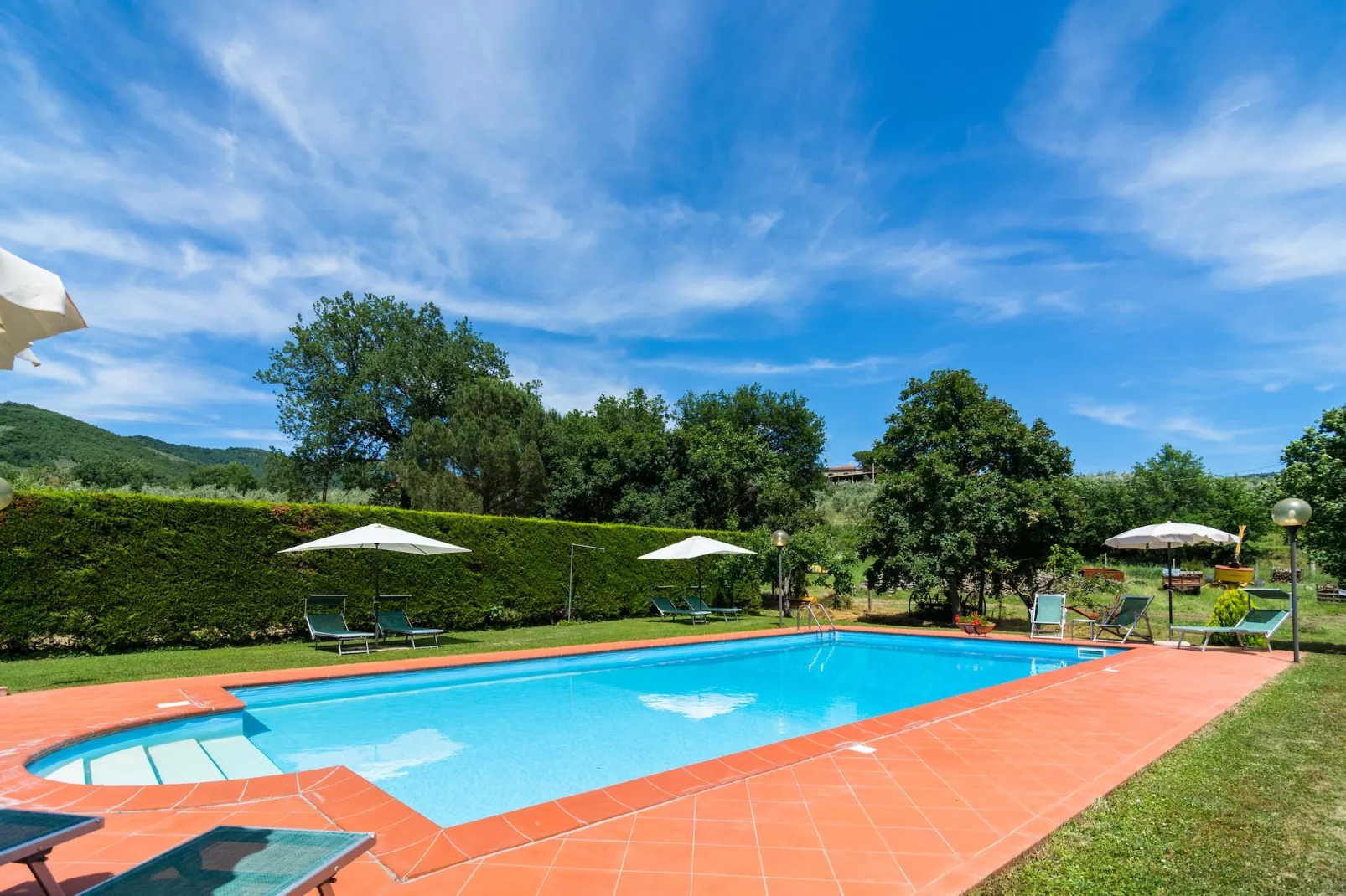 Il giardino
