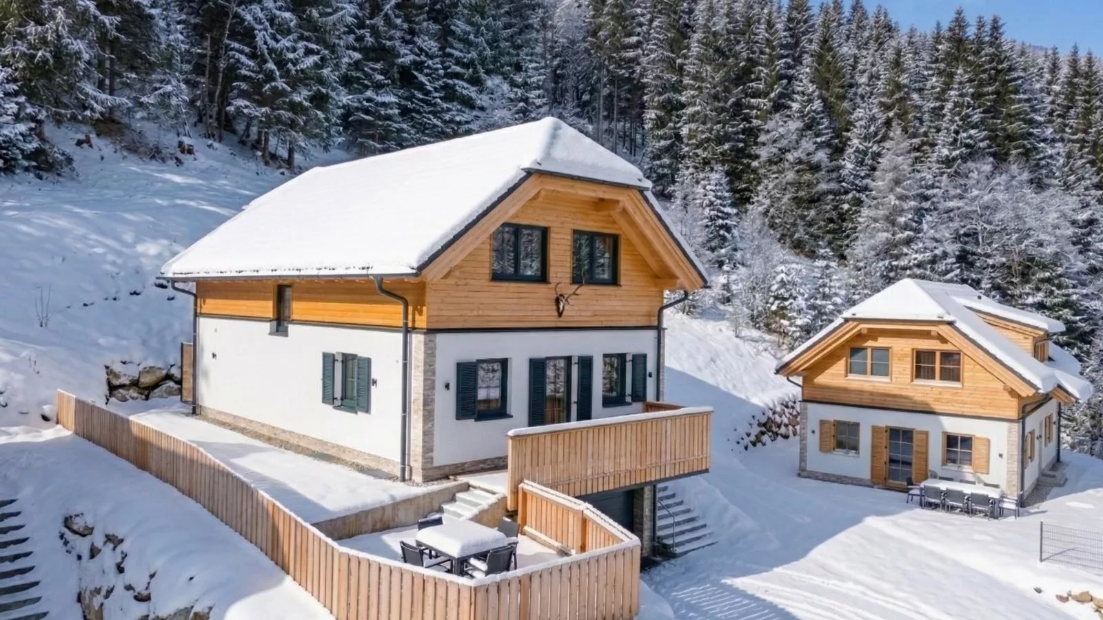 Edelweiss Lodge - Exterior in winter