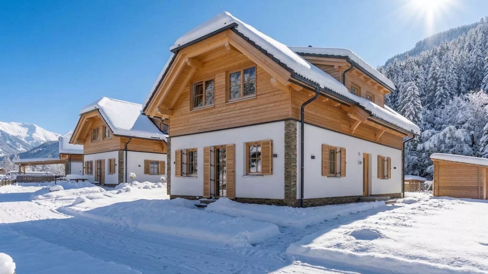 Steier Hütte S - Exterior in winter