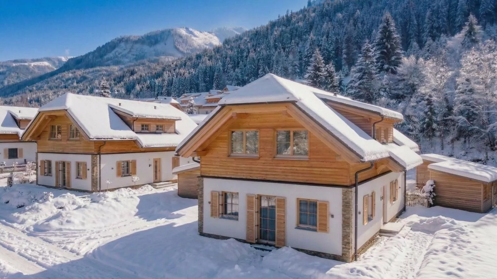 Steier Hütte S - Exterior in winter