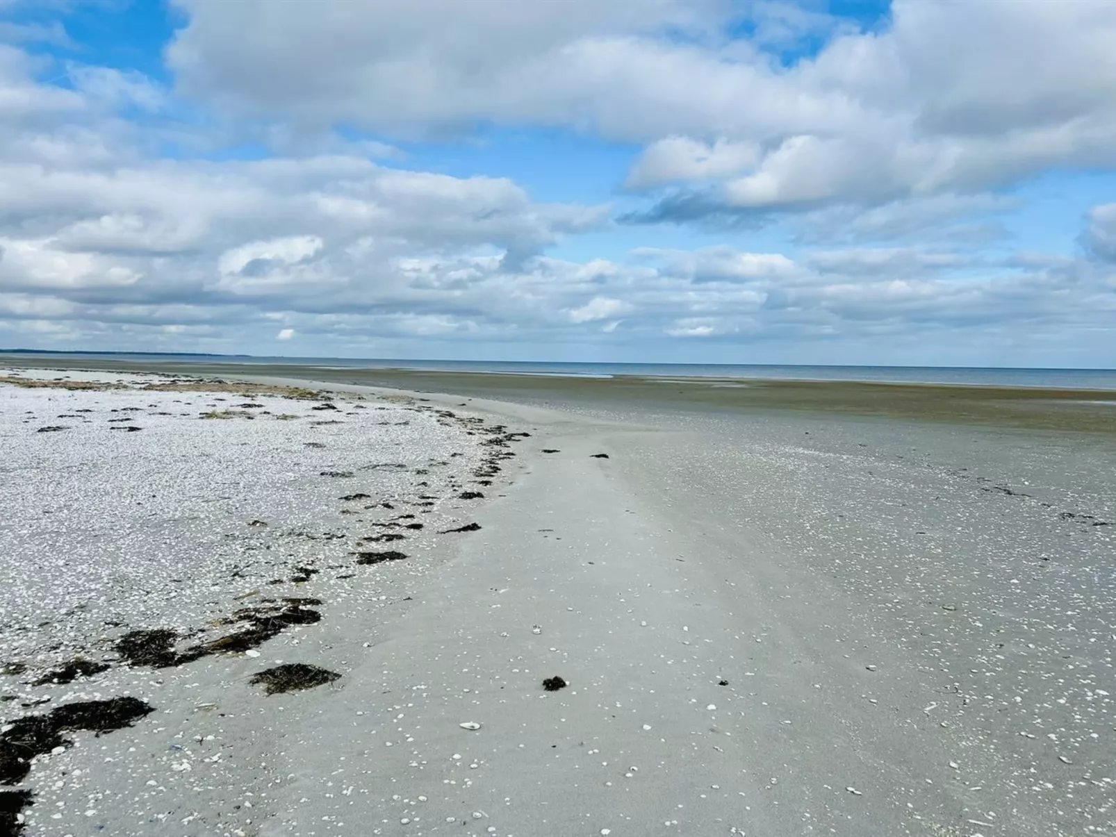 "Swale" - 500m from the sea - Dehors