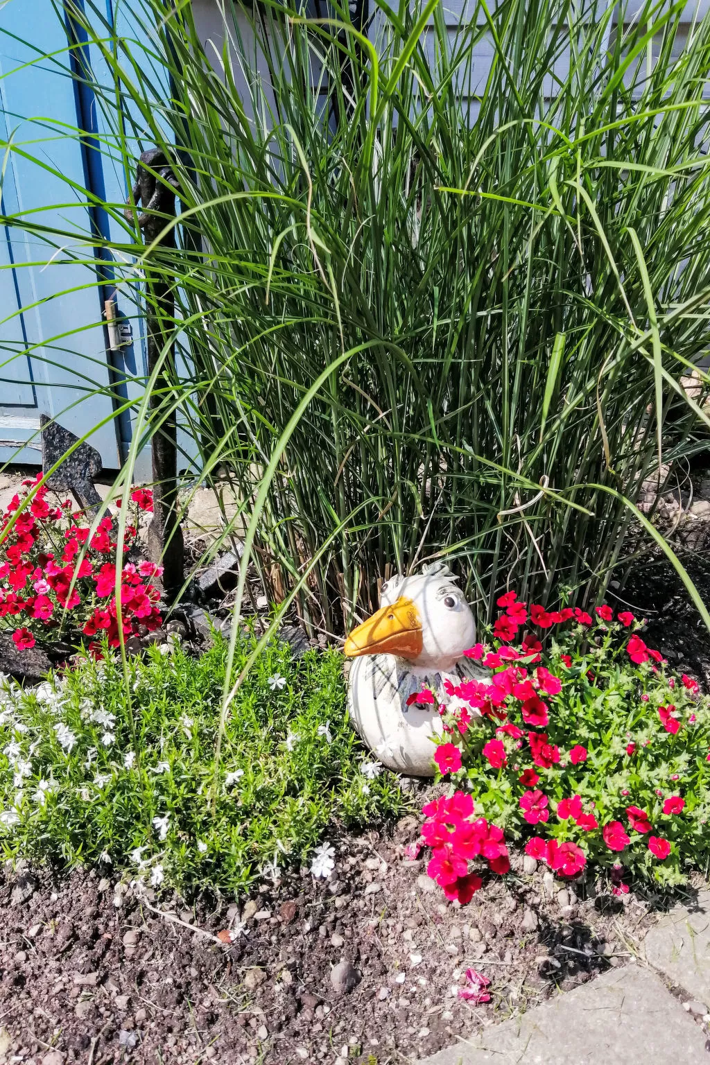 Ferienbungalow auf Gartengrundstück - Outside