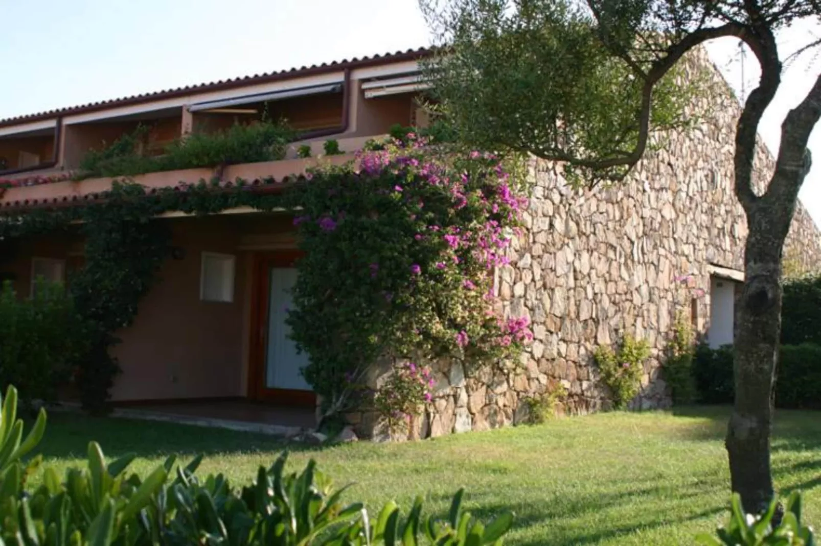 Residence Porto Coda Cavallo - APARTMENT 1 BEDROOM - Extérieur été