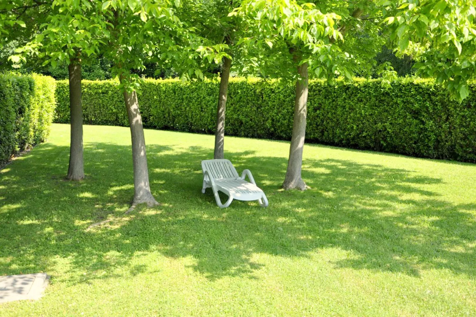 Casara Elle Otto - Gardens in summer