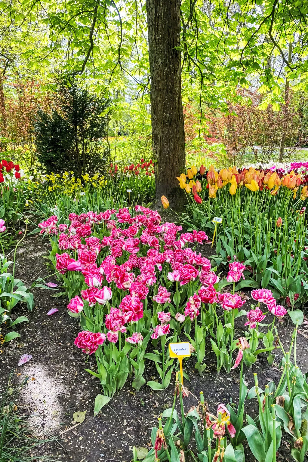 Rekerlanden 174 - Draußen