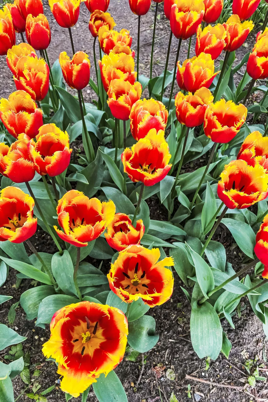 Rekerlanden 174 - Draußen