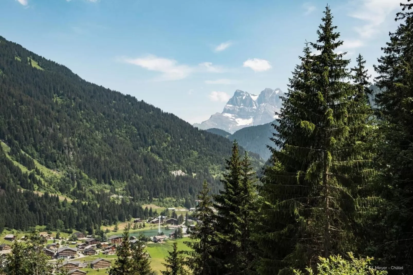 Campanules CP6 TELECABINE & NATURE 4 Pers - Gebiete Sommer 1 km