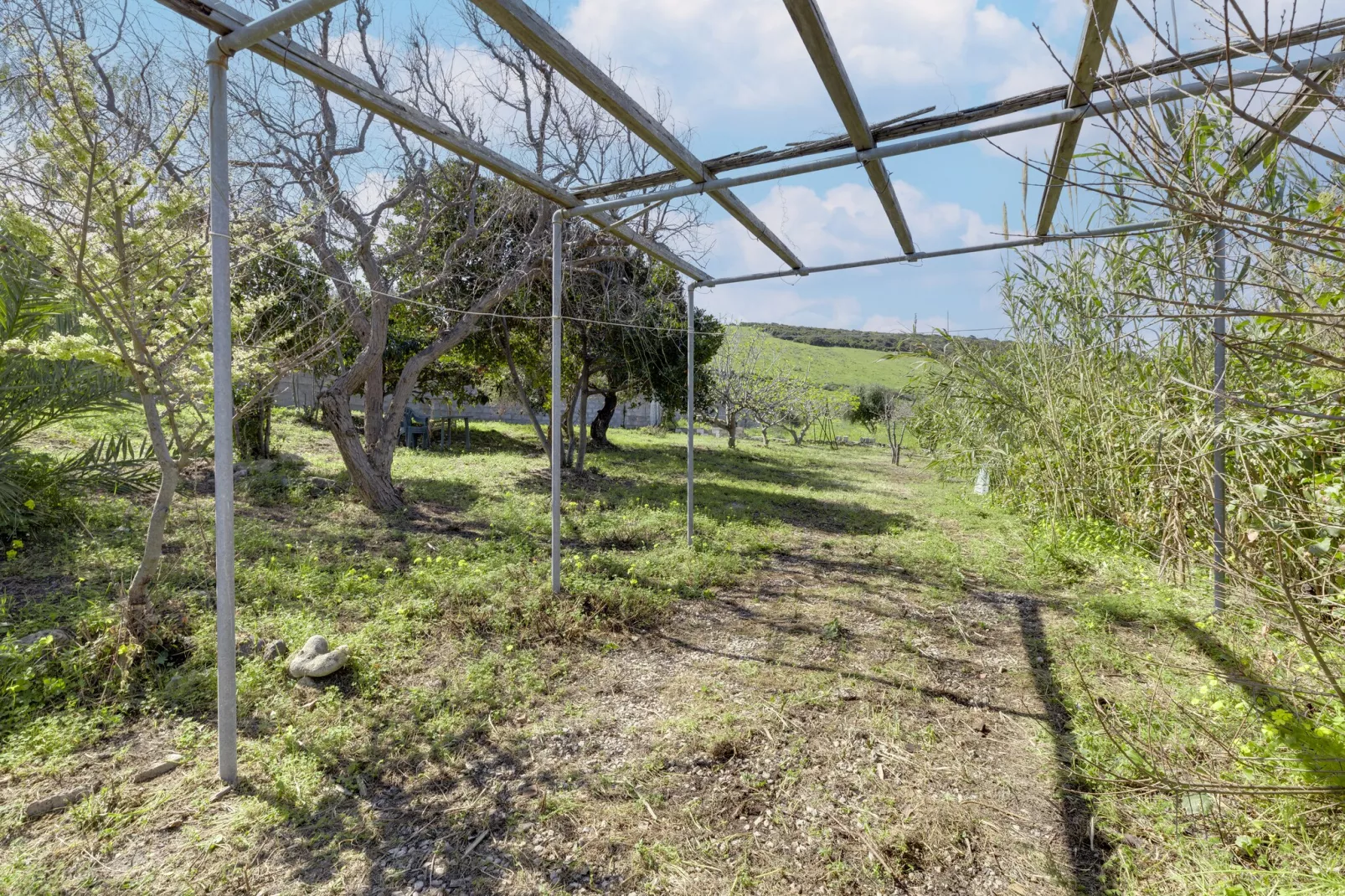 VILLA BIANCA - Garten Sommer