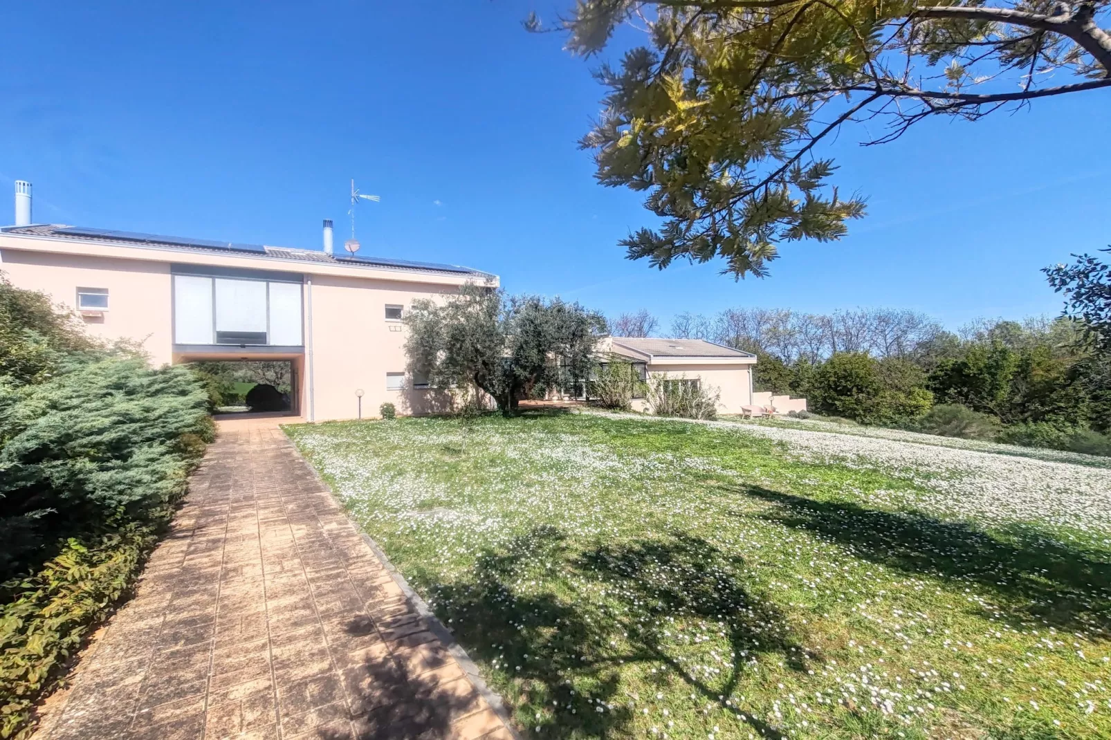 Villa tra gli Ulivi - Außenbereich Sommer