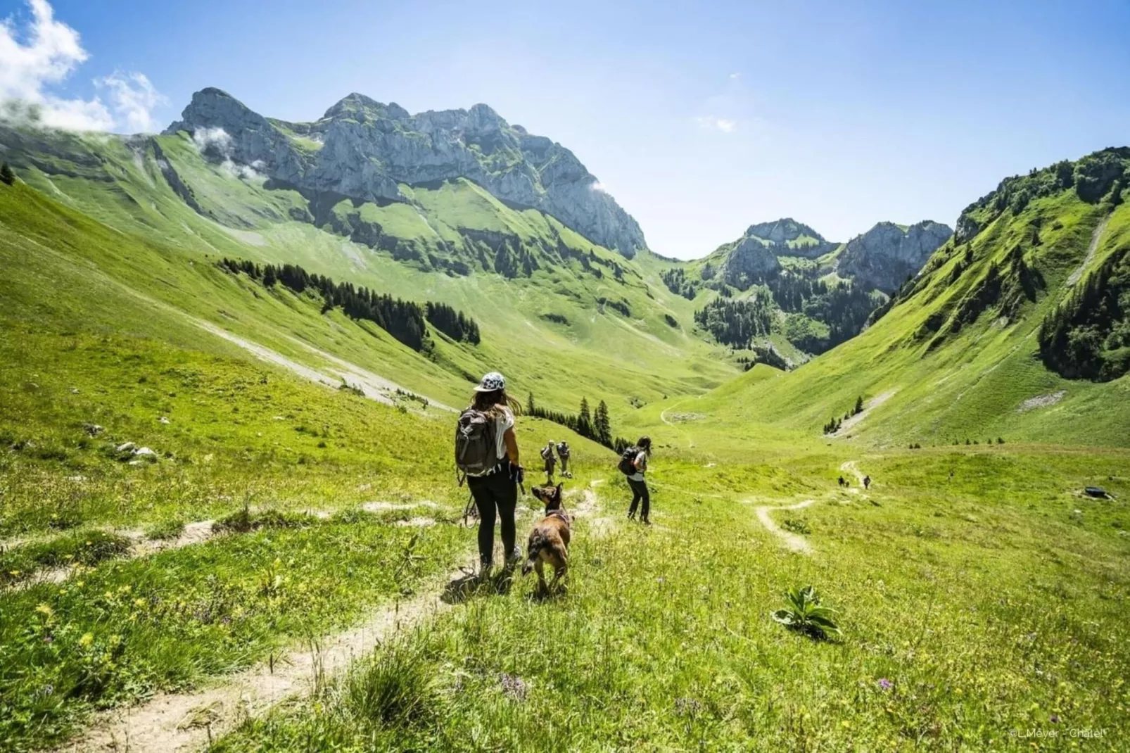 Campanules CP6 TELECABINE & NATURE 4 Pers - Gebiete Sommer 1 km