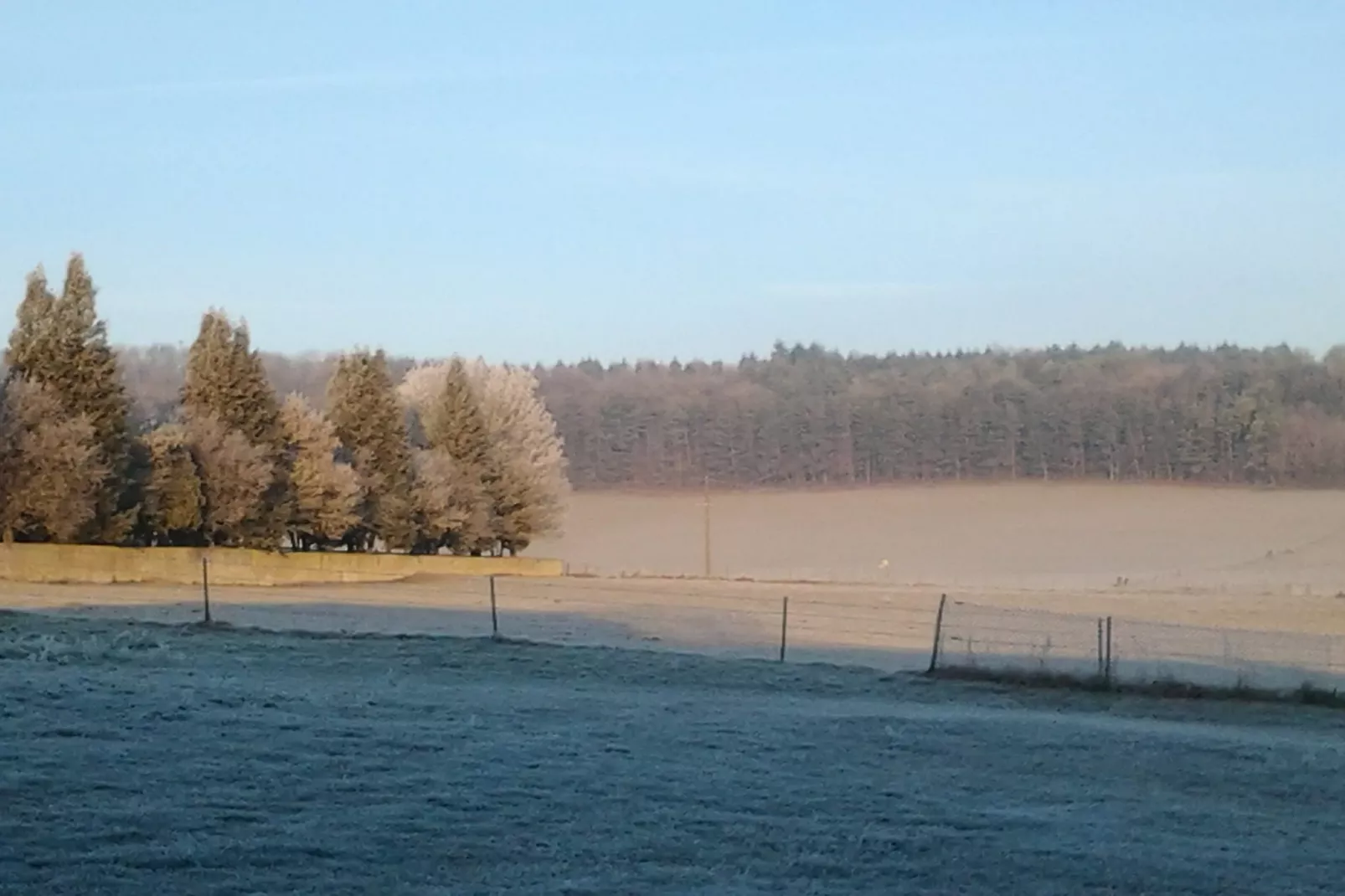 Gite Nouartais - Garten Winter