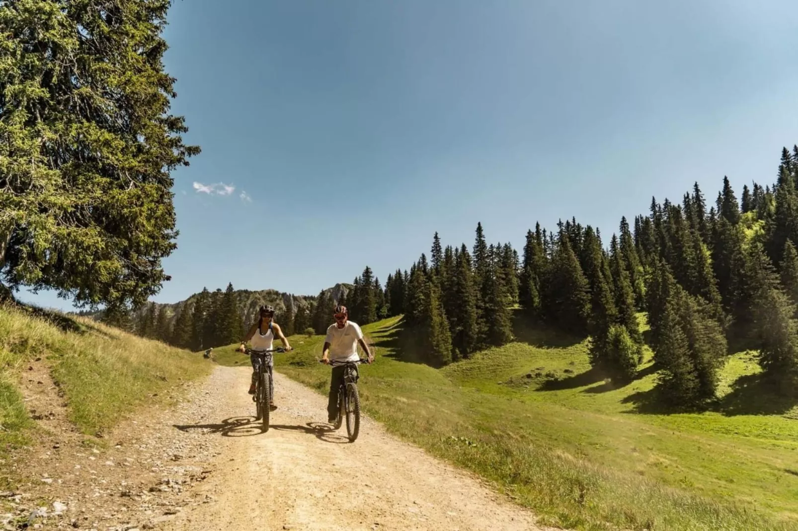 Campanules CP6 TELECABINE & NATURE 4 Pers - Gebiete Sommer 1 km
