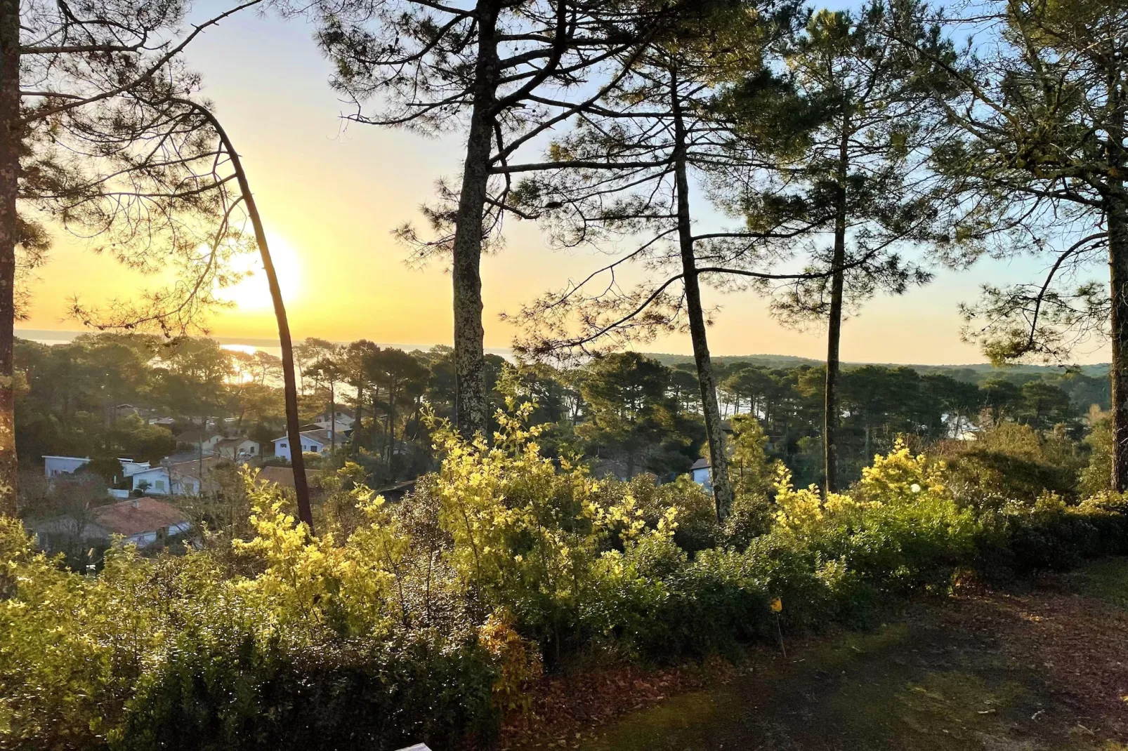 Maison avec vue sur le lac Lacanau - Aussicht Sommer