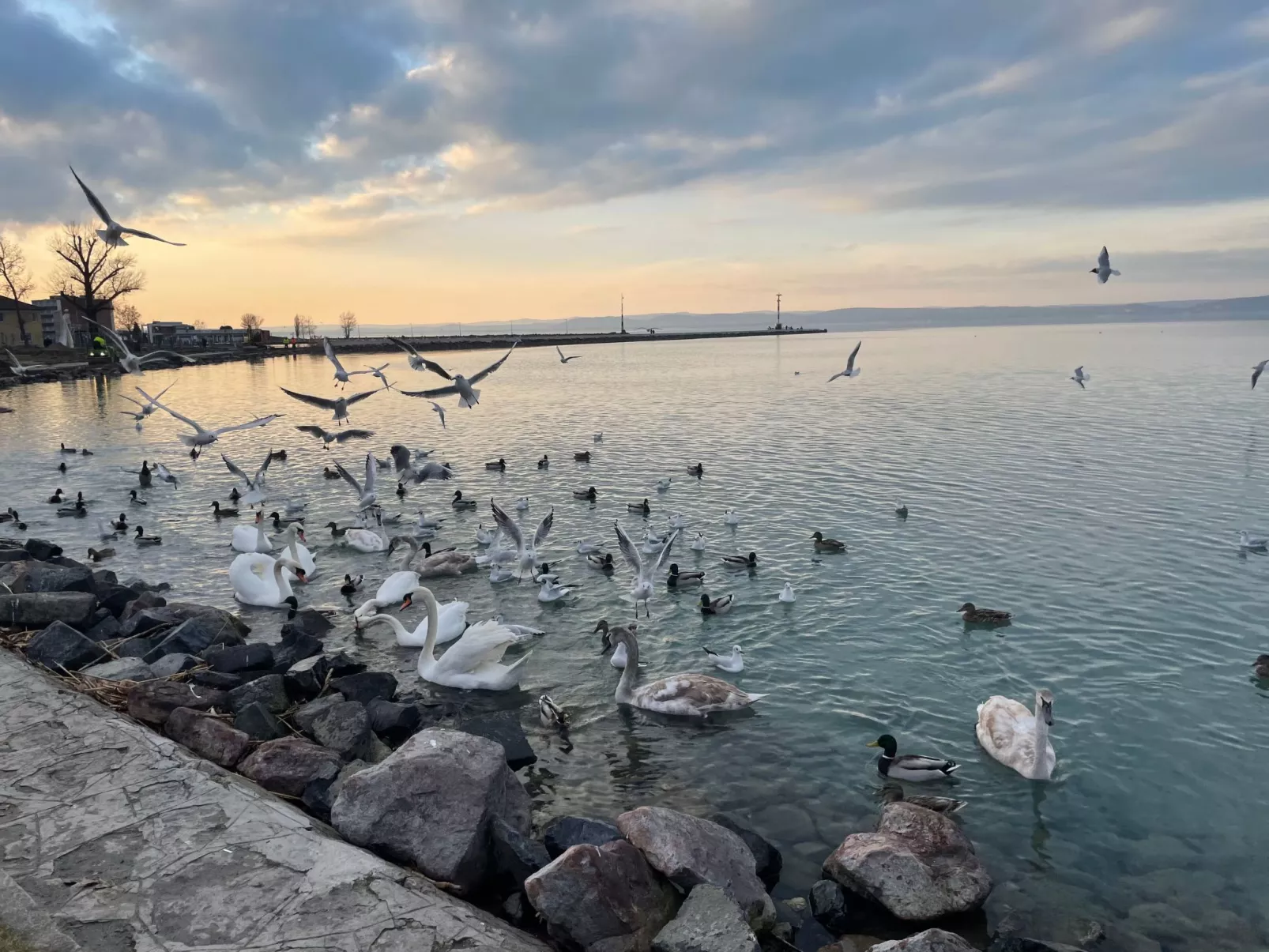 Dorina Wellness in Siofok - Outside