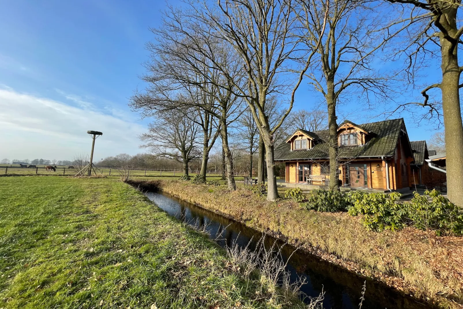 Salland Hideaway - 4 persons - Exterior in summer