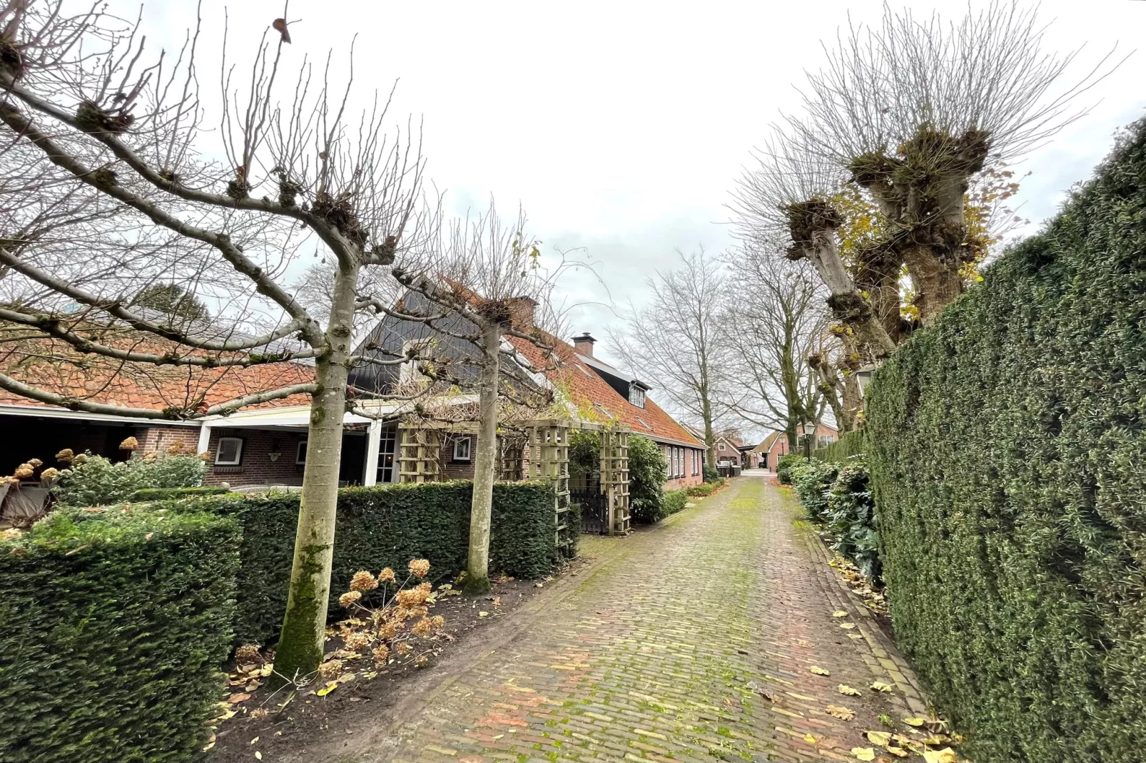 De Binnenhof - Exterior in summer
