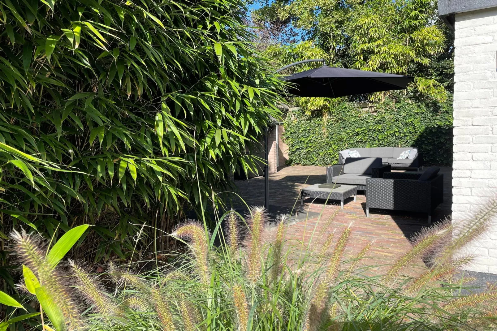 Bergense Duyn - Terrace balcony