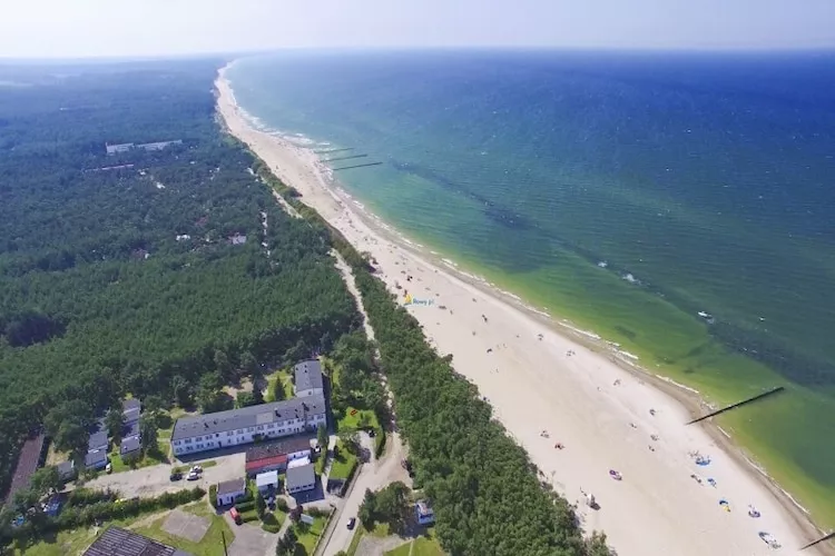 Apartament T1 parter - Areas within 1km in summer