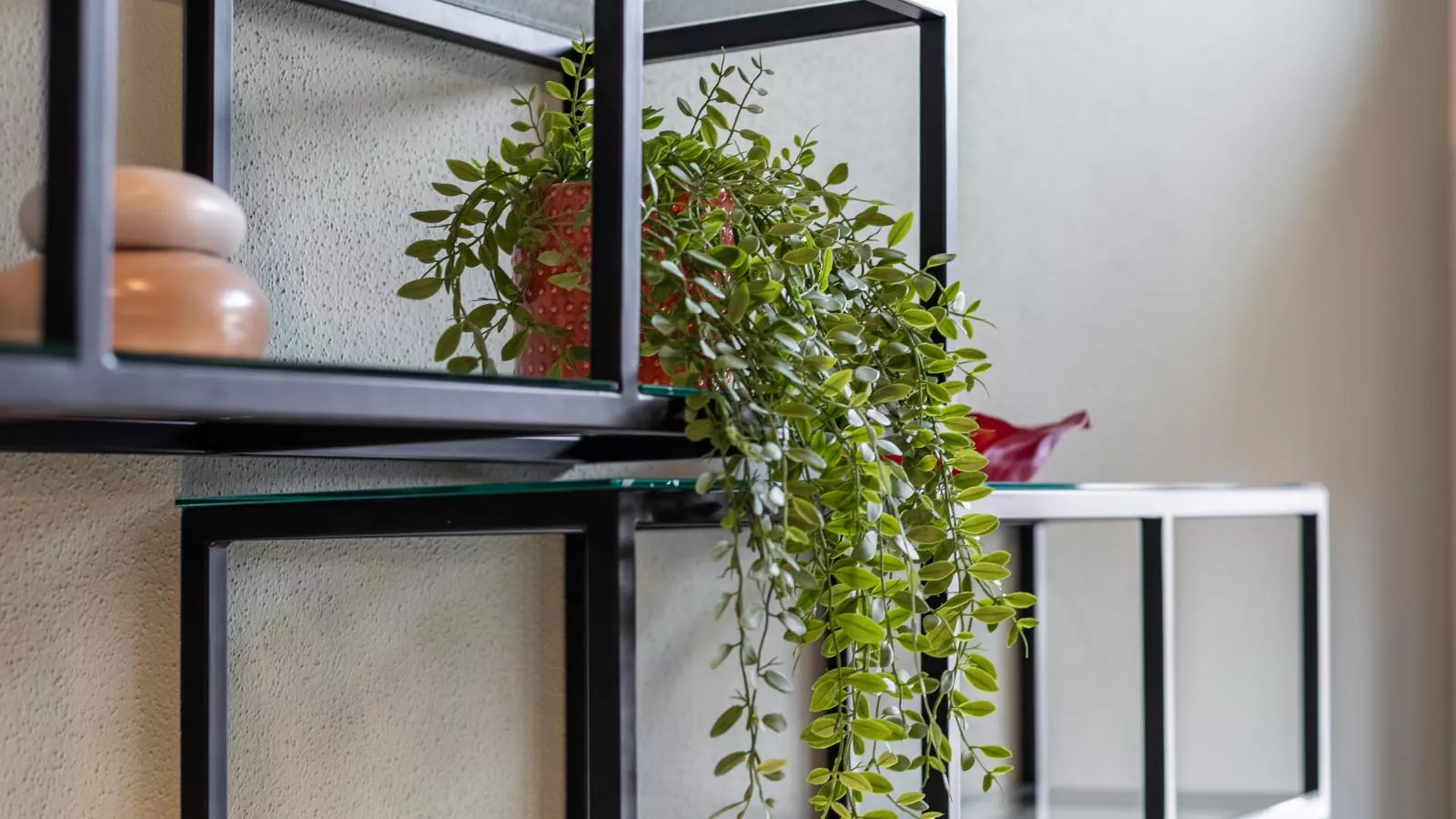 Tauernlodge Eben C1 - Ambiente