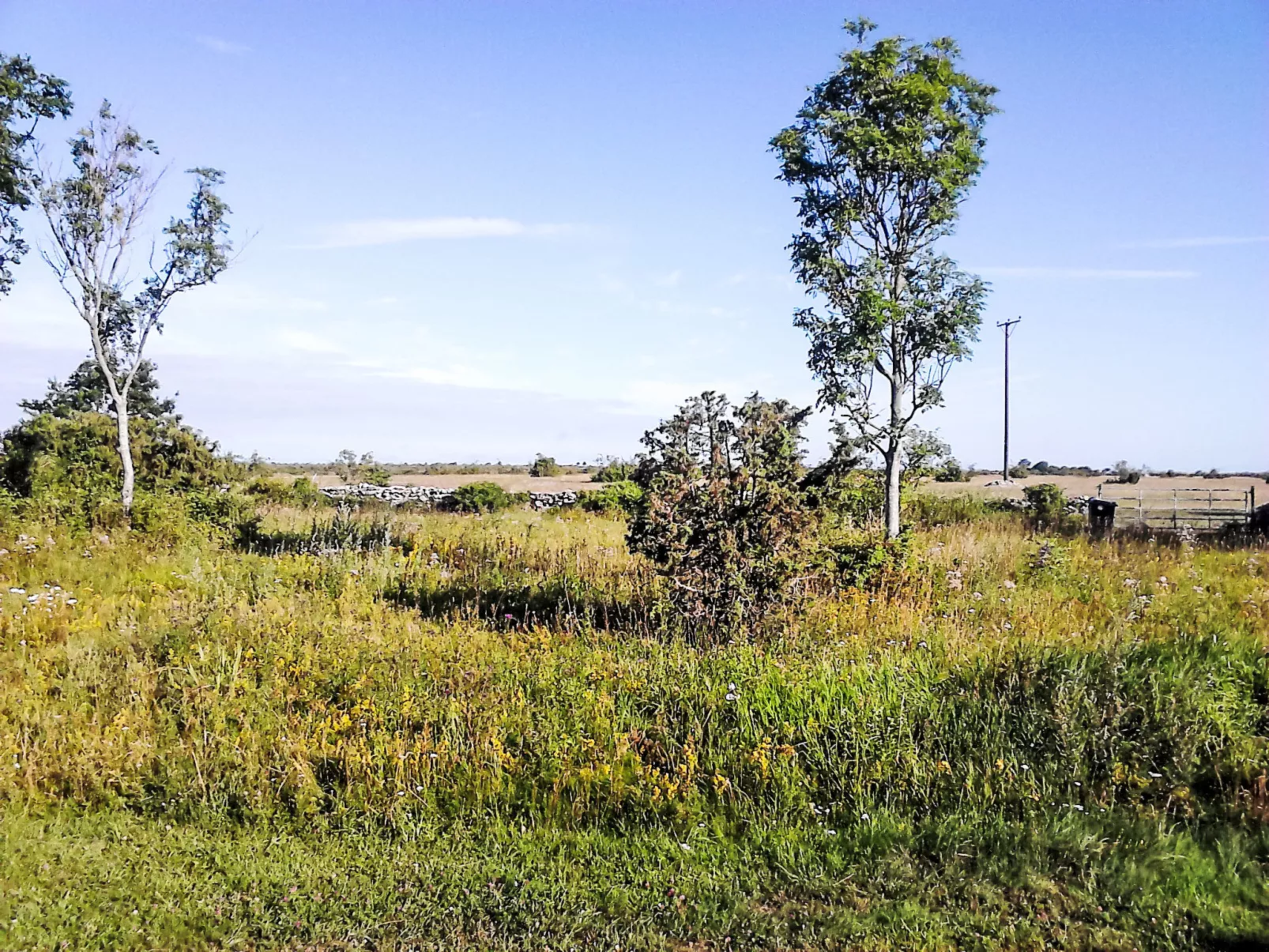 Villa Alvaret - Outside