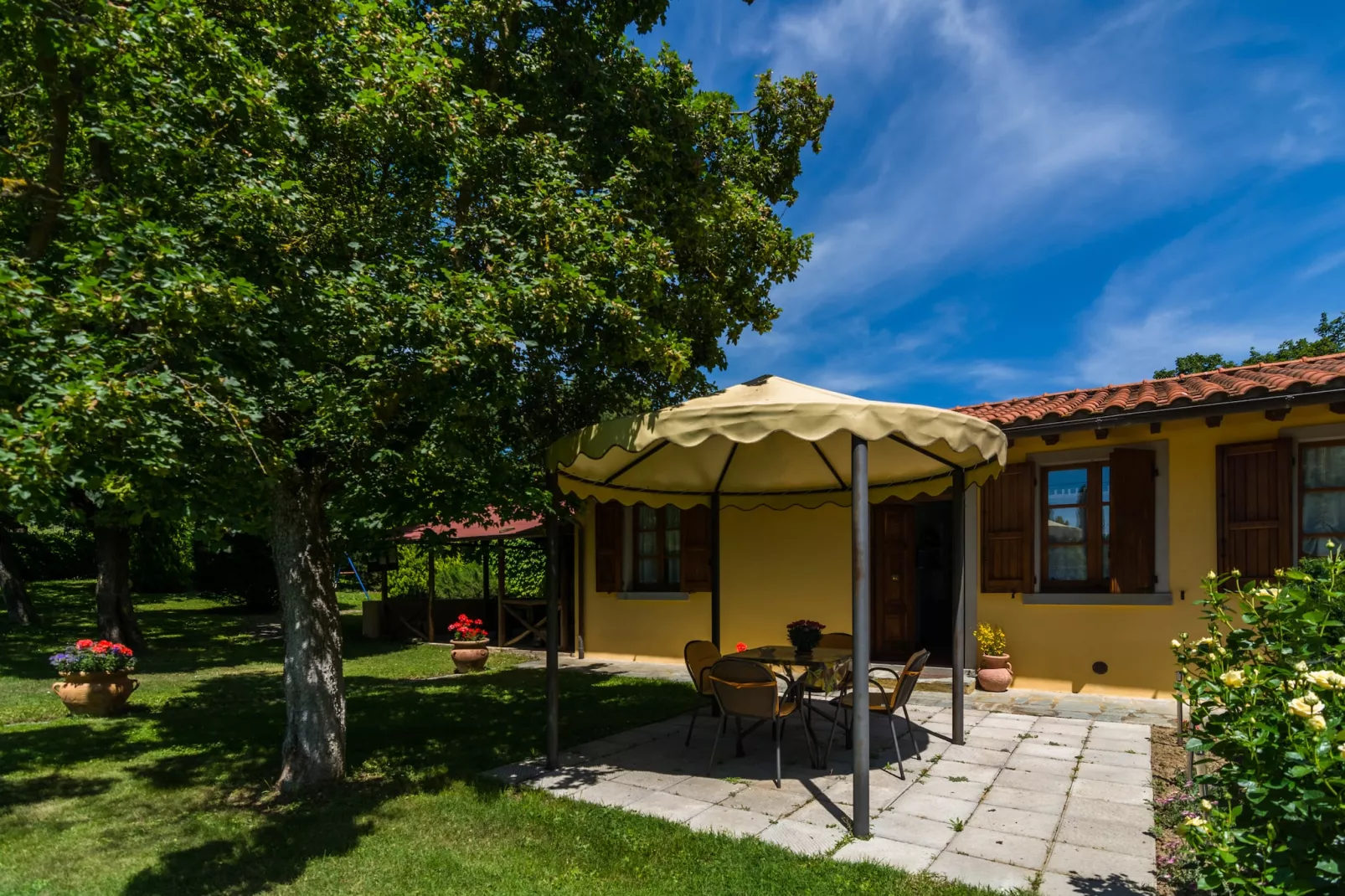 Orchidea - Exterior in summer