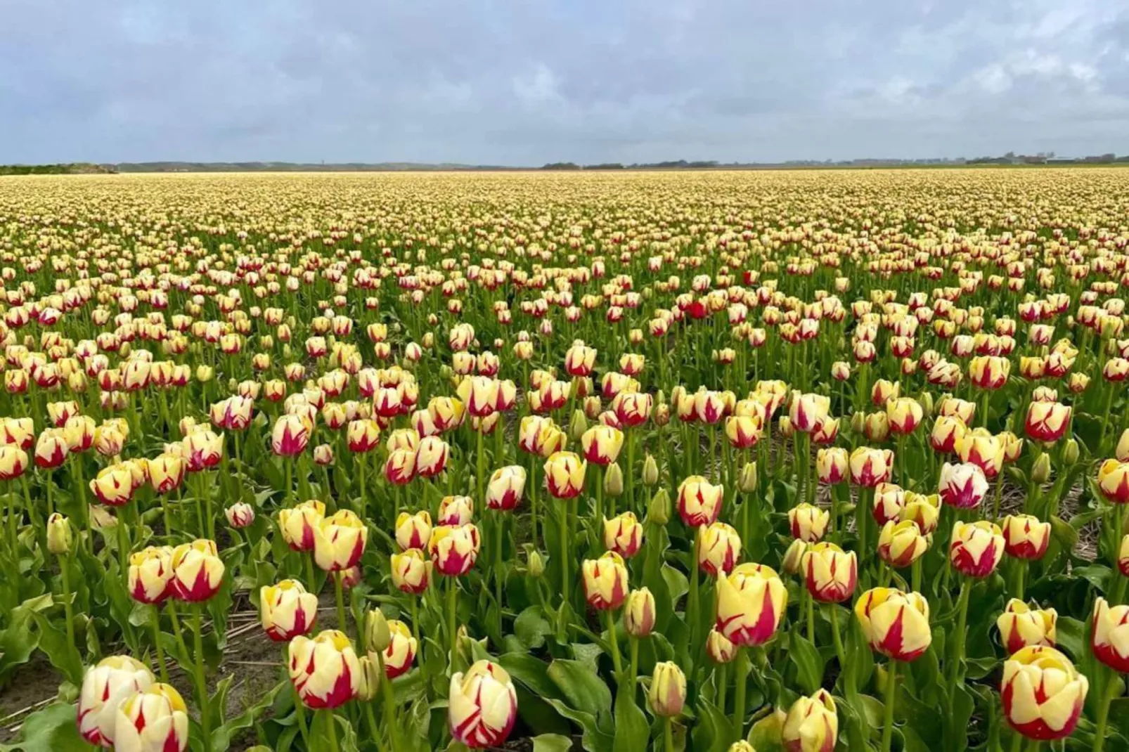 La Chatelaine 3 - Gebiete Sommer 20 km