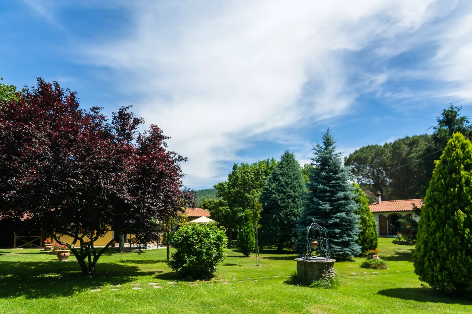 Fiordaliso - Gardens in summer
