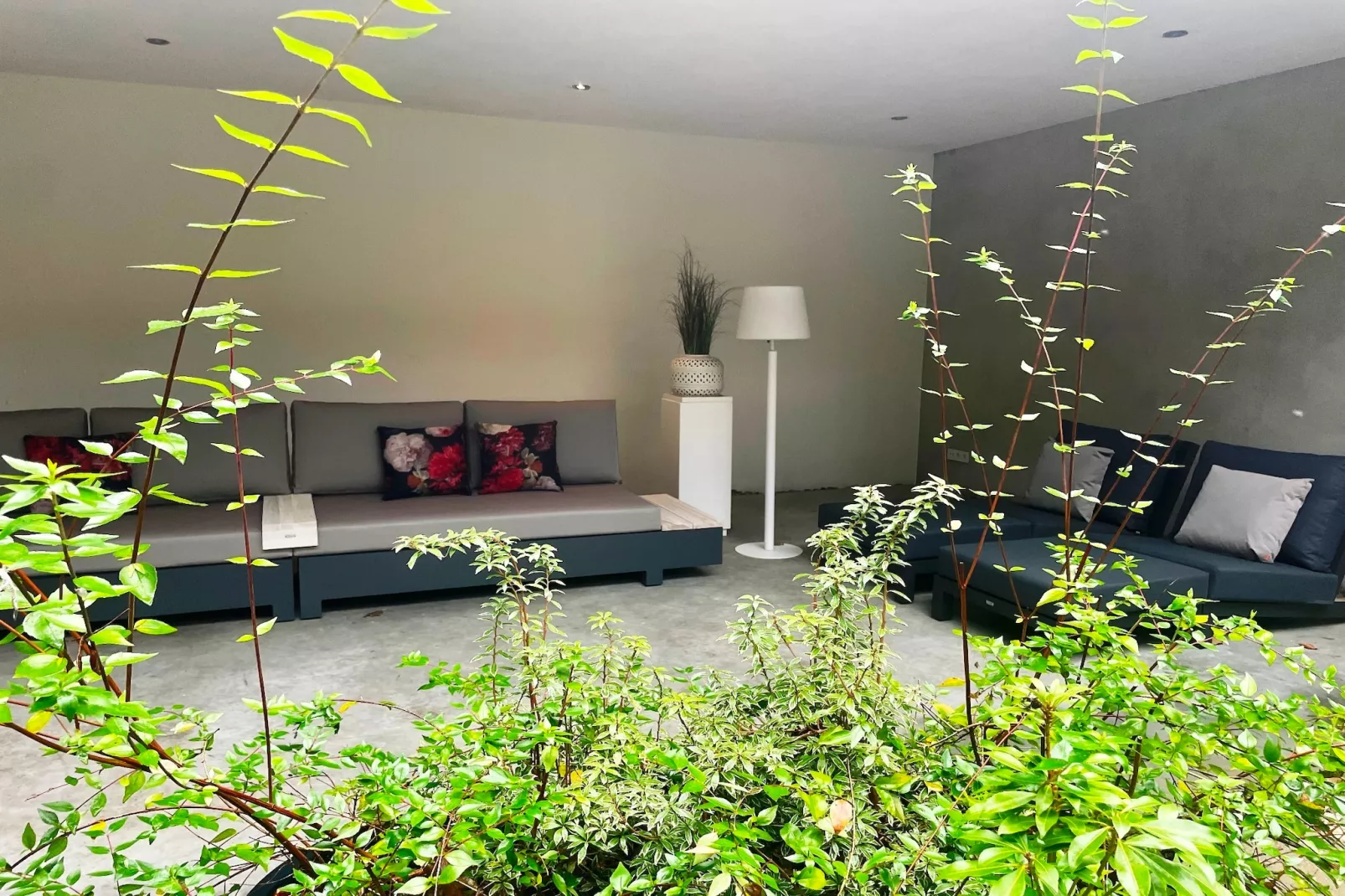 Betonnen Boshuis - Terrasse/Balkon