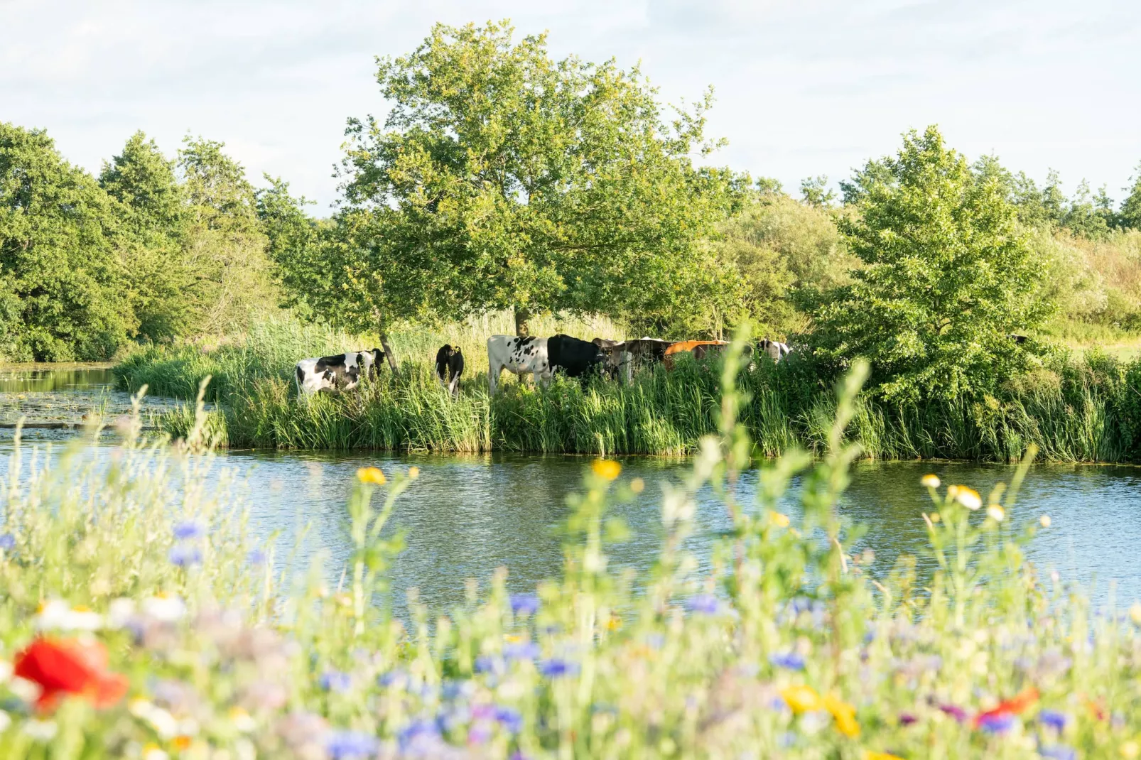 Wellness at the Vecht - First floor - Zones été à 1 km