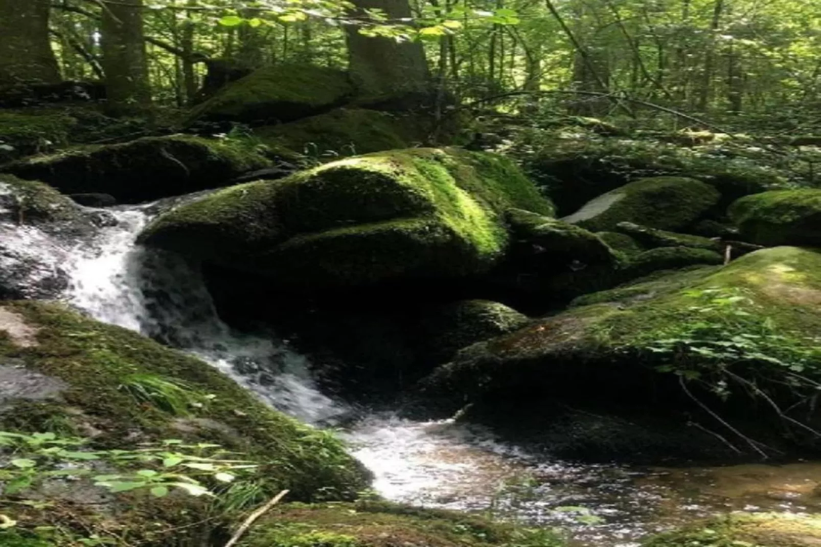 Typ B Komfort - Fewo Manuel J40 - Areas within 5km in summer