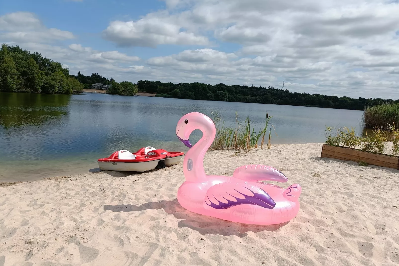 Watervilla Plas van Francke - Areas within 1km in summer