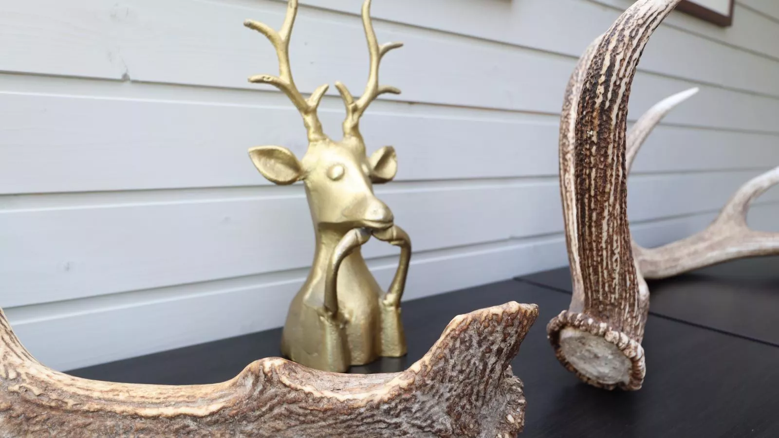 Myrabelle - Ambiance