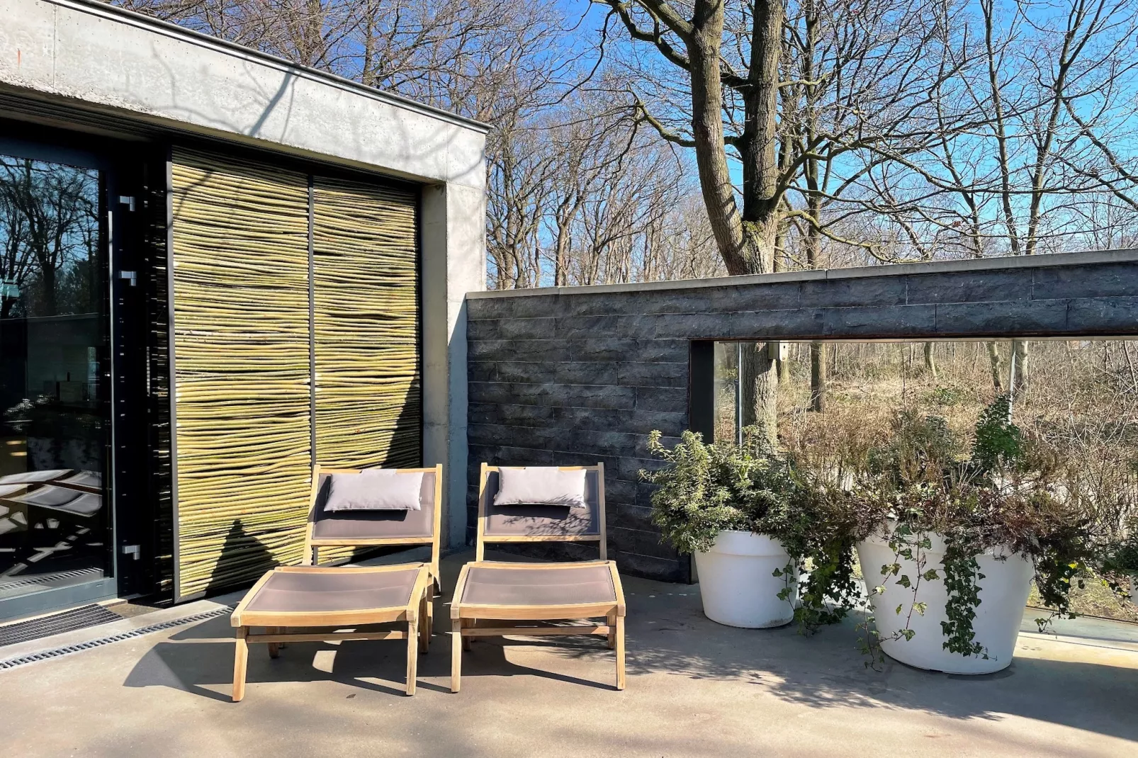 Betonnen Boshuis - Terrasse/Balkon