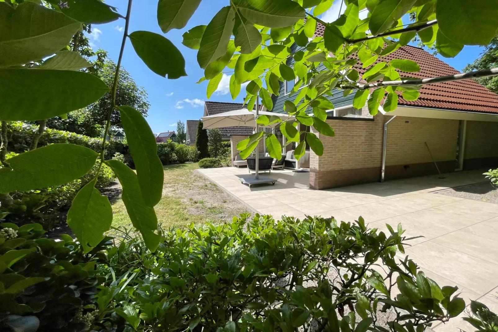 Zon in de duinen - 33 - Gardens in summer