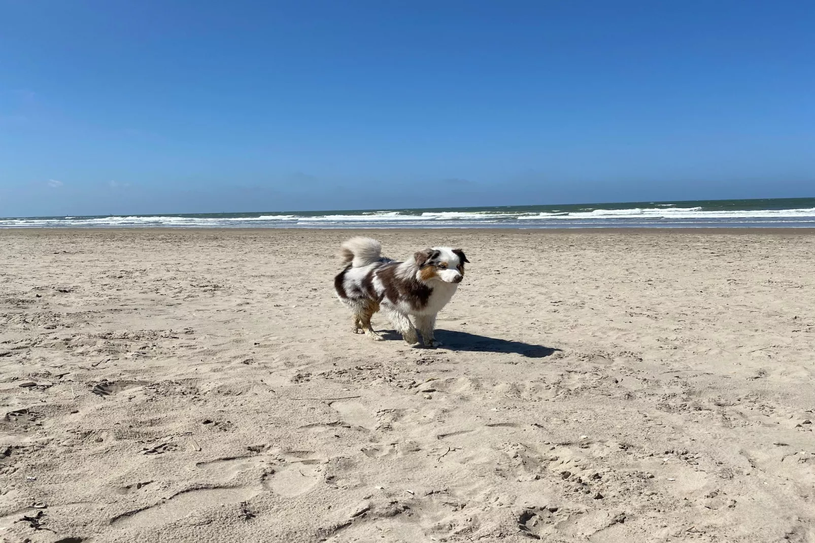 Tussen Duin en Strand - Areas within 5km in summer