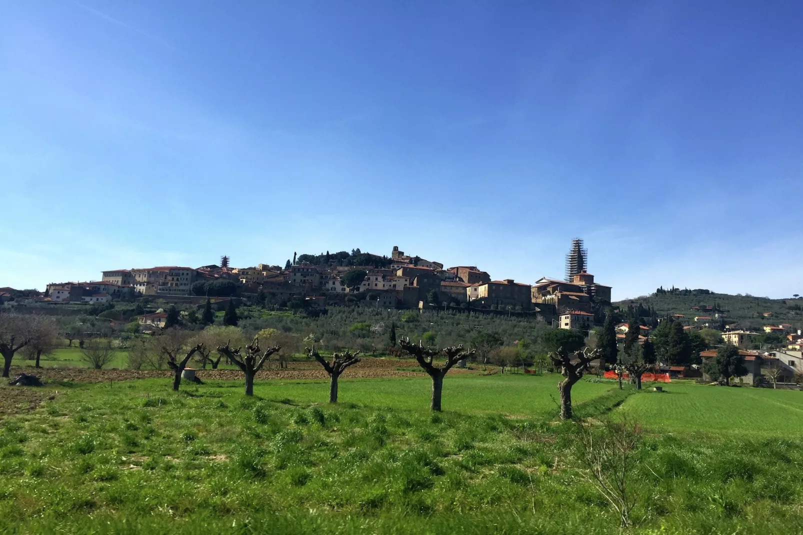 Il giardino - Areas within 5km in summer