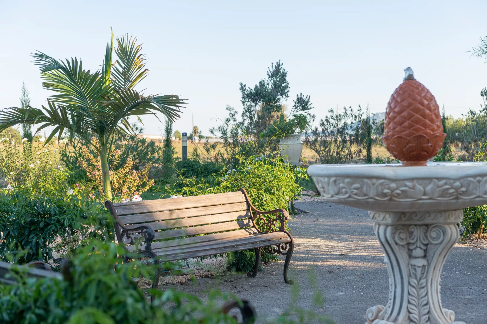 Banc Doli-Exterior summer