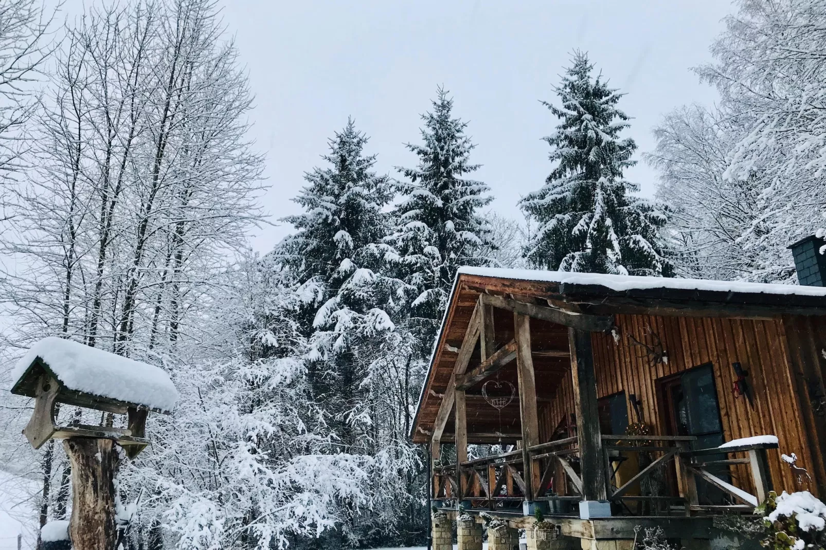 La Linotte - Exterior in winter