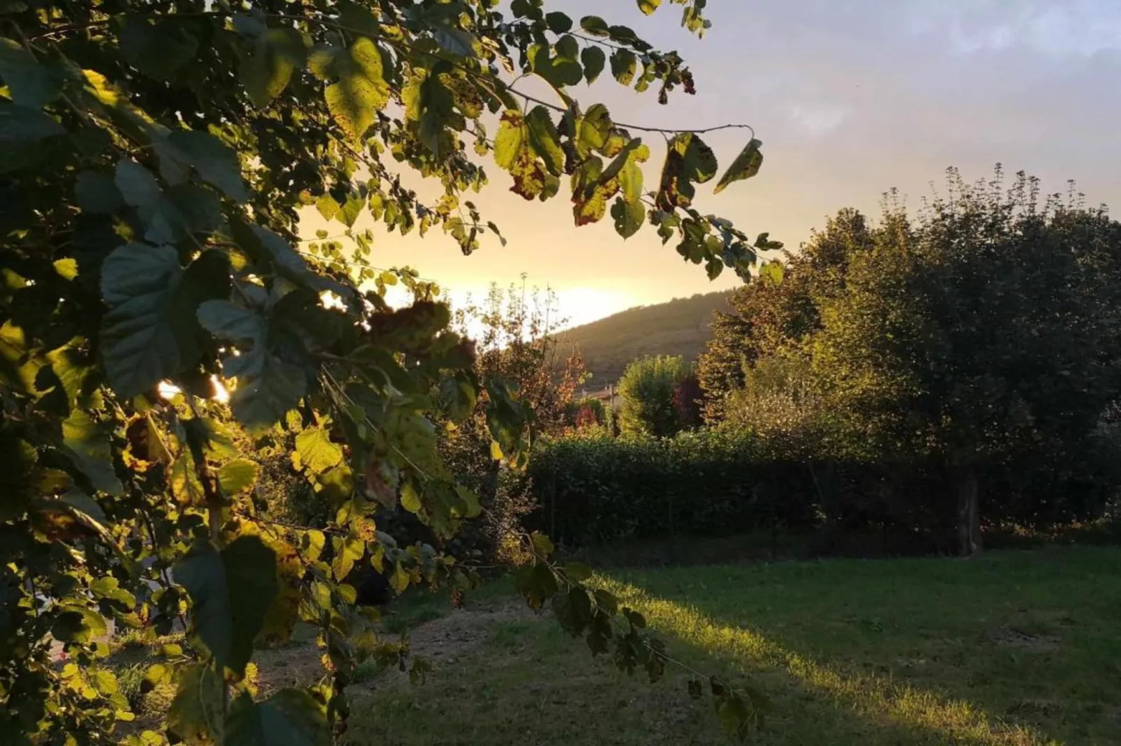 Fiordaliso - Areas within 20km in summer