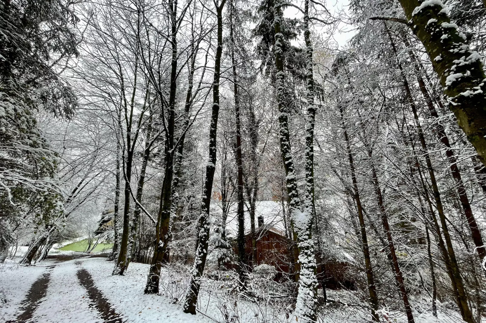 La Linotte - Area within 1km in winter