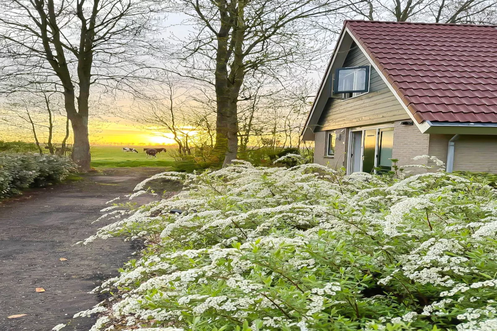 Zon in de duinen - 33 - Areas within 1km in summer