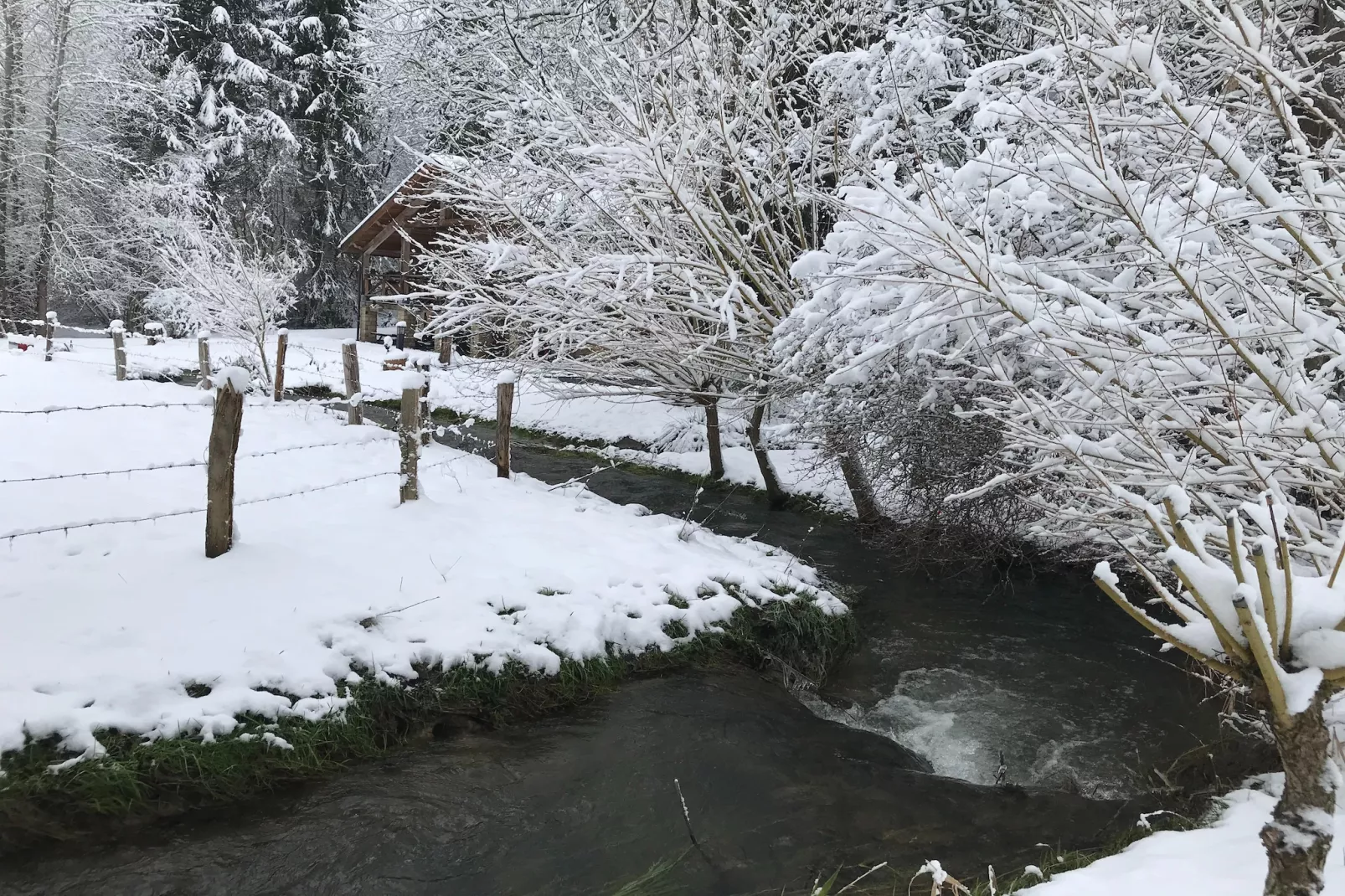 La Linotte - Area within 1km in winter