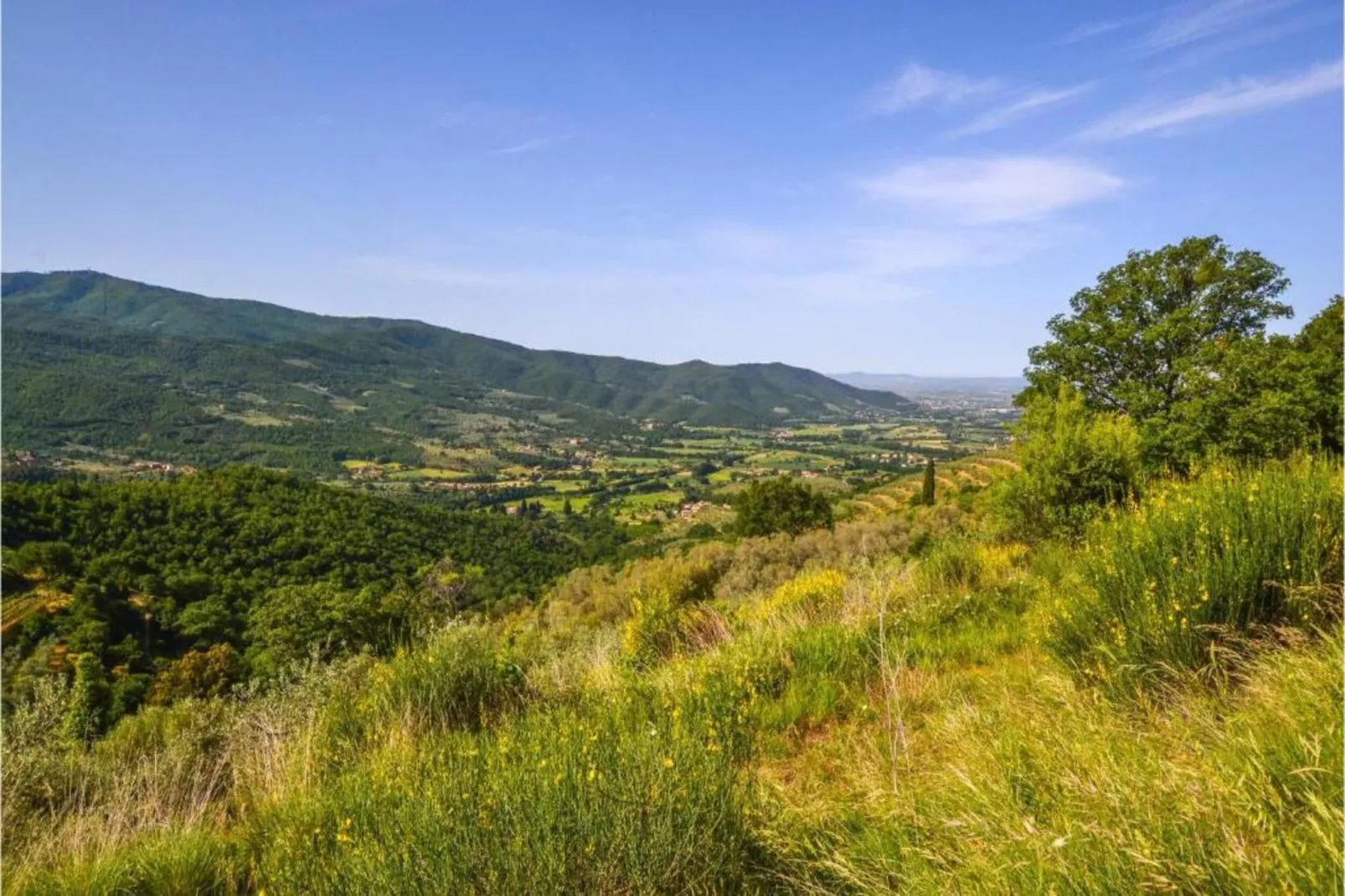 Fiordaliso - Areas within 20km in summer