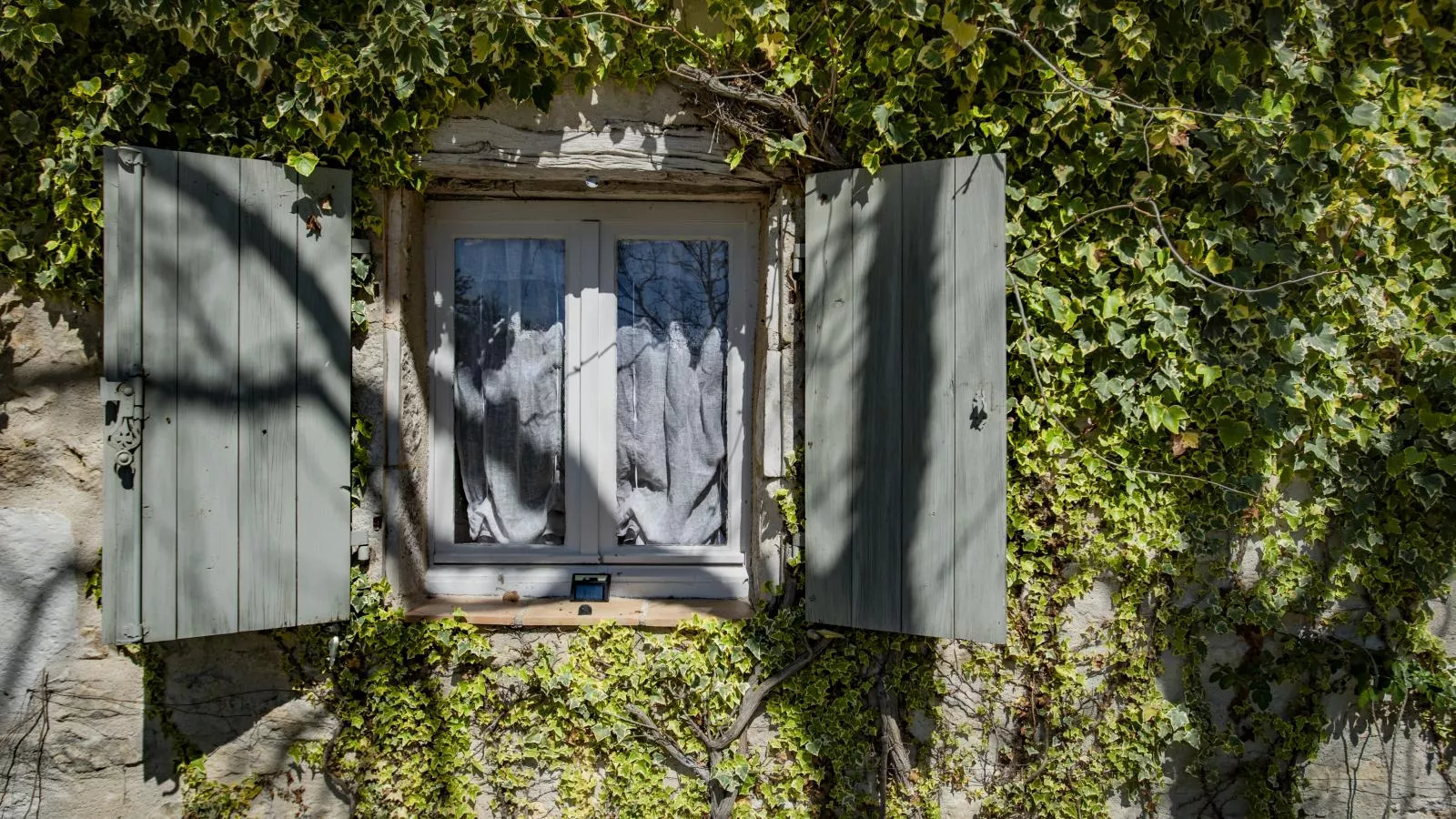 Gite la Bergerie - Ambiance
