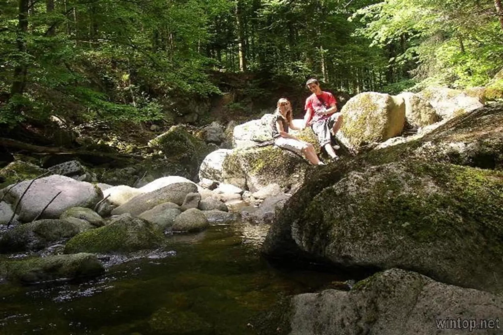 Typ B Komfort - Fewo Manuel J40 - Areas within 5km in summer